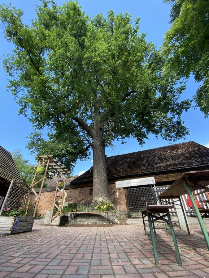 Pension Unter Der 250 Jaehrigen Eiche - Lehde Zentrum Kaupen Extérieur photo